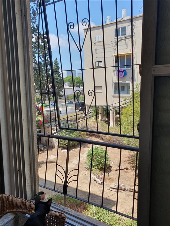 תמונה 2 ,דירה 2.5 חדרים להשכרה בתל אביב יפו, דרך השלום, 