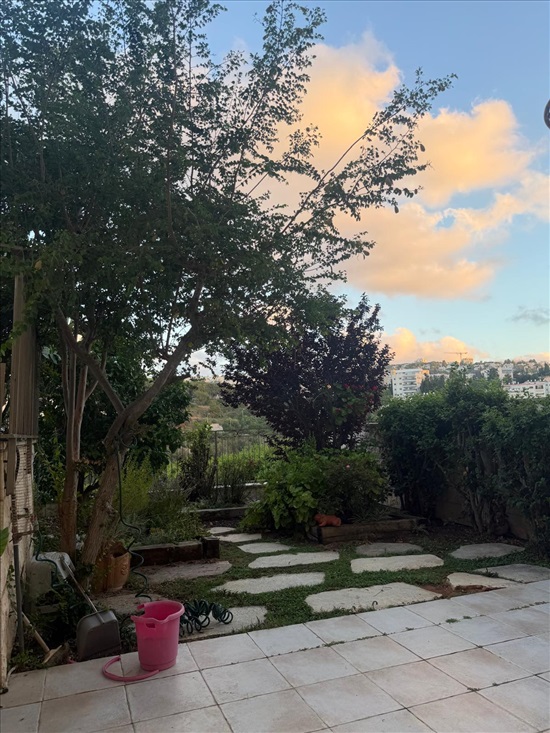 תמונה 3 ,יחידת דיור 2 חדרים להשכרה בחיפה, רחוב נורית, ורדיה  