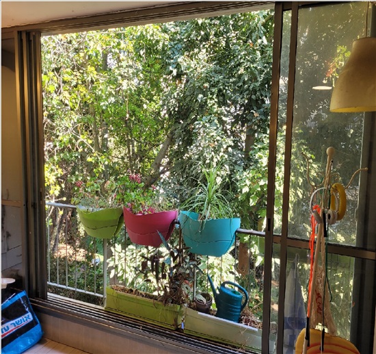 תמונה 2 ,דירה 3.5 חדרים להשכרה בגבעתיים, הרב הרצוג, תל גנים