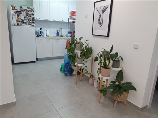 תמונה 2 ,דירה 2.5 חדרים להשכרה בבת ים, אלי כהן 32, רמת הנשיא