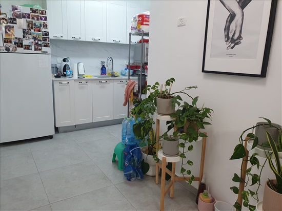 תמונה 9 ,דירה 2.5 חדרים להשכרה בבת ים, אלי כהן 32, רמת הנשיא