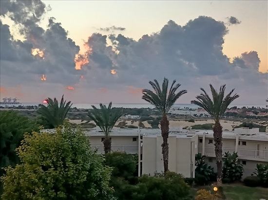 תמונה 10 ,דירה 2.5 חדרים להשכרה בקיסריה, רוטשילד, נאות גולף