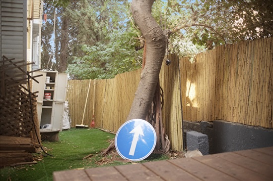 תמונה 9 ,דירת גן 2.5 חדרים להשכרה בחיפה, הלל, הדר עליון