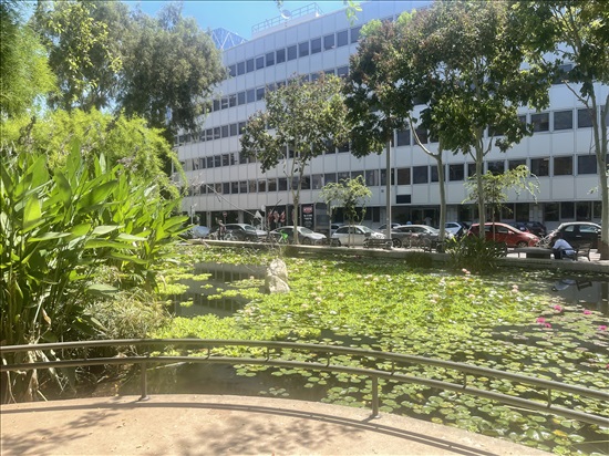 תמונה 8 ,דירה 3 חדרים להשכרה בתל אביב יפו, קרית ספר, לב העיר