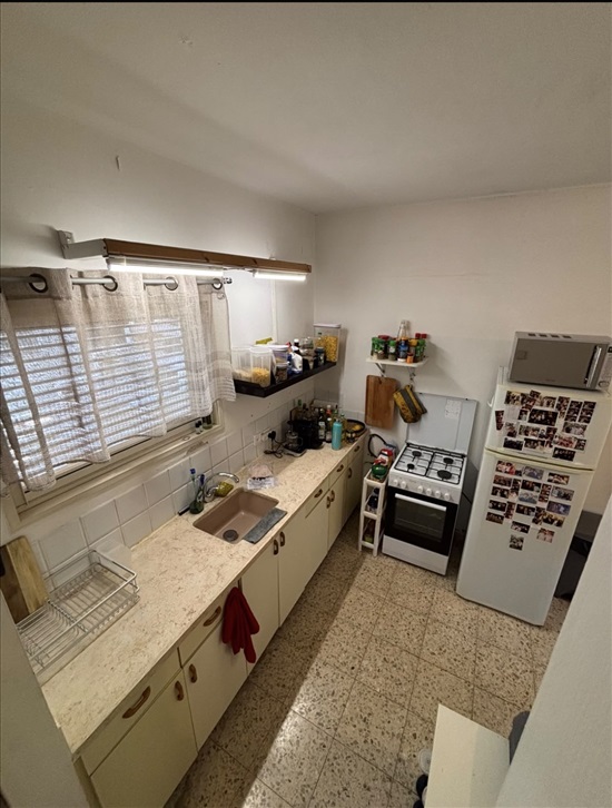 תמונה 6 ,יחידת דיור 2 חדרים להשכרה בגיבתון, בן ישראל, 