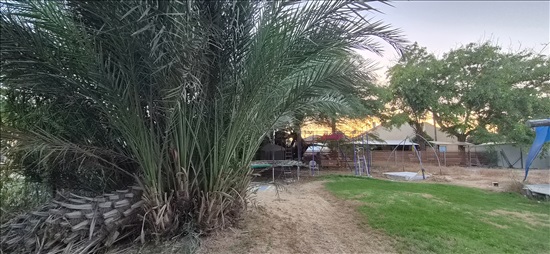תמונה 10 ,בית פרטי 4 חדרים להשכרה בכמהין, כמהין, 
