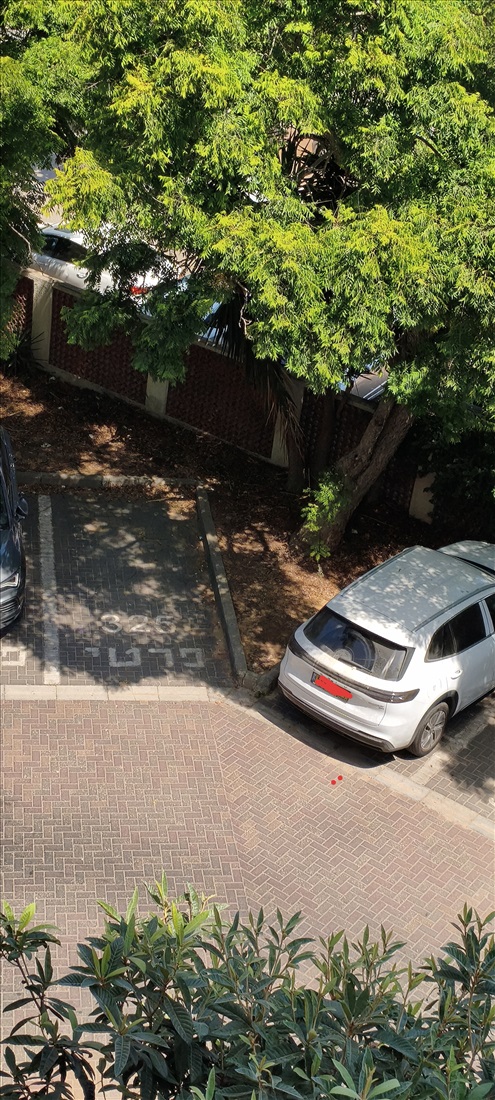 תמונה 1 ,חניה 1 חדרים להשכרה ברמת גן, הכבאים, גן ערמונים