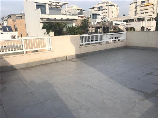 תמונה 3 ,דירת גג 6 חדרים להשכרה בתל אביב-יפו, עמוס, 
