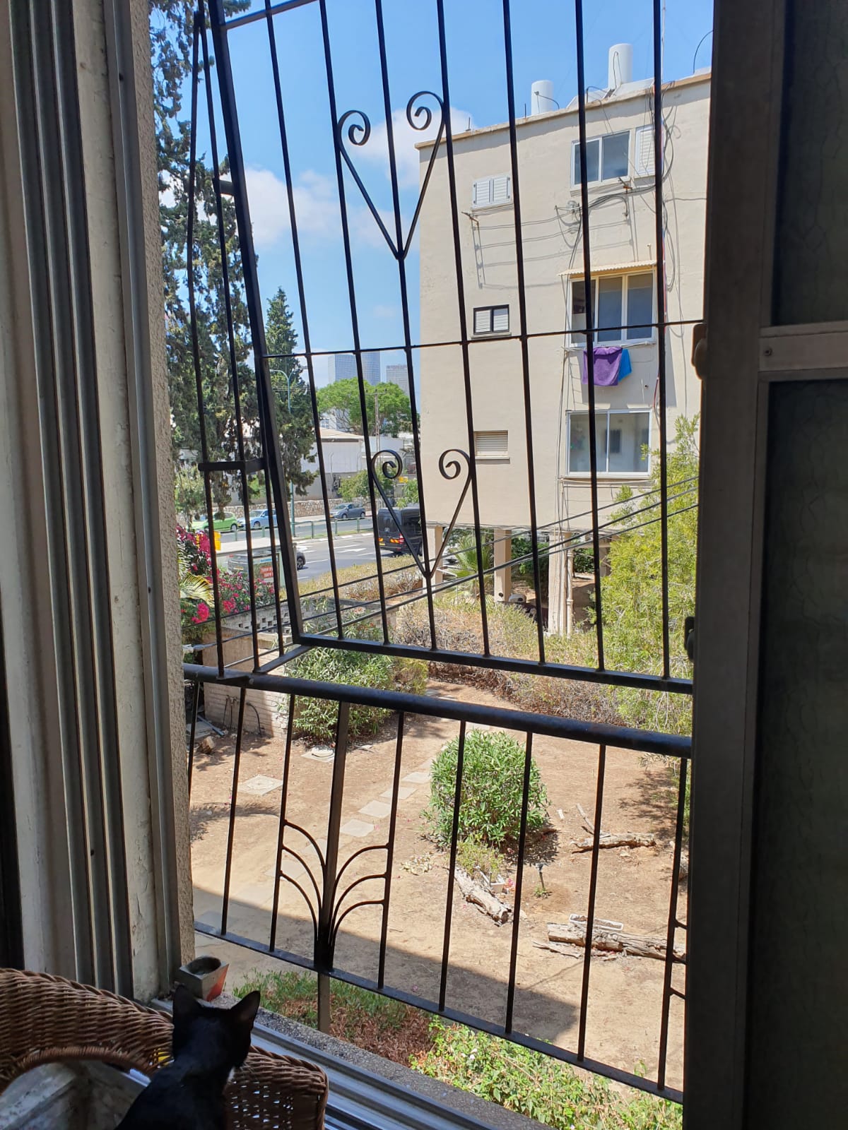 תמונה 2, דירה 2.5 חדרים להשכרה בתל אביב יפו, דרך השלום