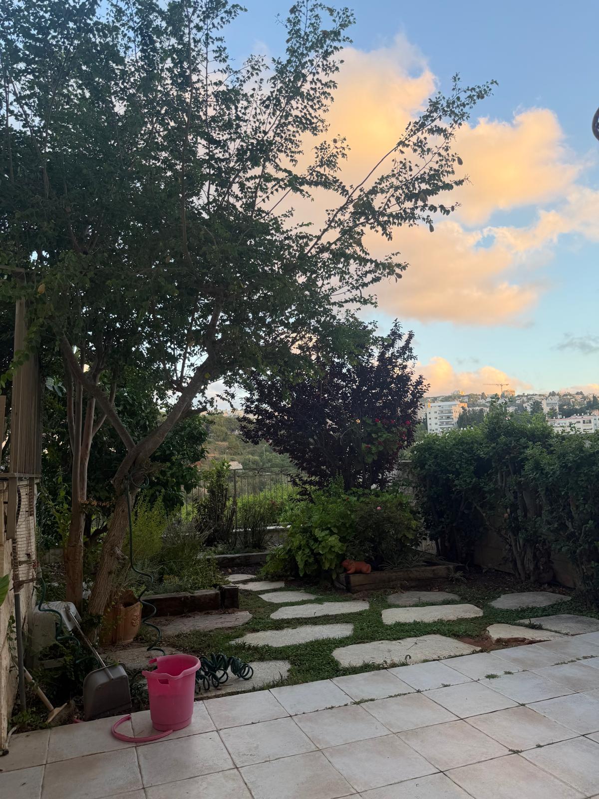 תמונה 3, יחידת דיור 2 חדרים להשכרה בחיפה, רחוב נורית, ורדיה  