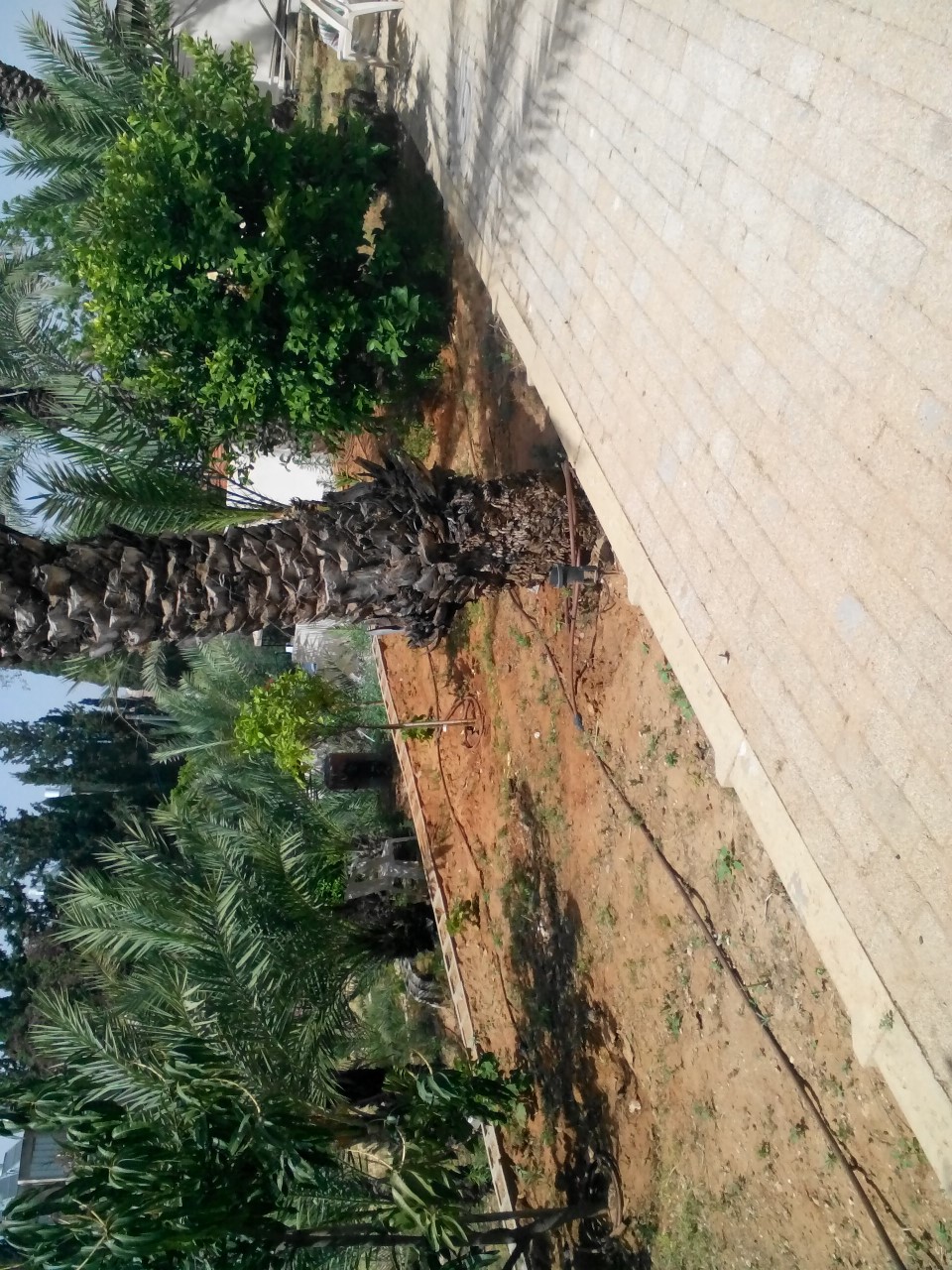 תמונה 1, יחידת דיור 2 חדרים להשכרה ברחובות, ארלוזורוב, שעריים