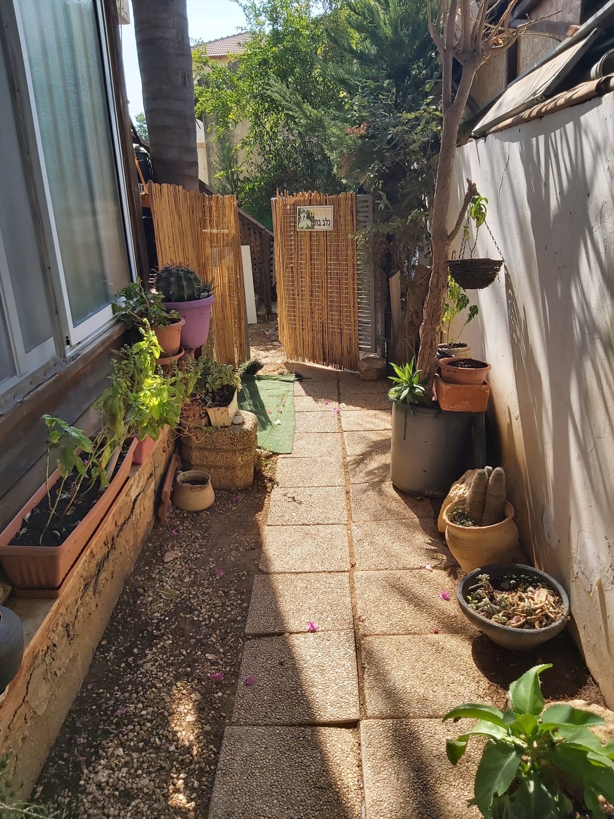 תמונה 1, דירה 3 חדרים להשכרה באזור, דרך בן גוריון, בן גוריון