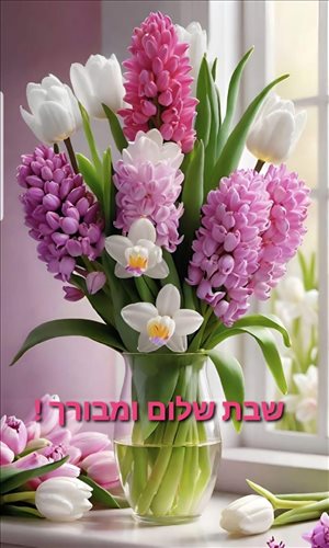 יחידת דיור להשכרה 1 חדרים במרכז העיר יוסף ריבלין  