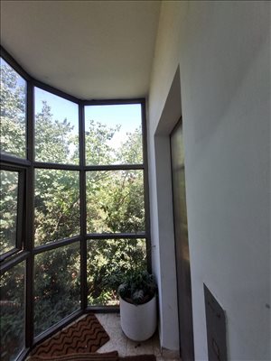 דירה להשכרה 5 חדרים בחיפה שדרות הברושים מרכז הכרמל 