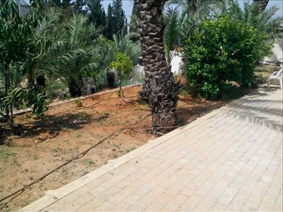 יחידת דיור להשכרה 2 חדרים ברחובות ארלוזורוב 