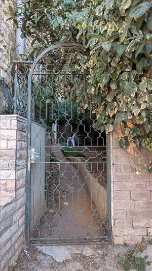 דירת גן להשכרה 1 חדרים בירושלים דגניה 