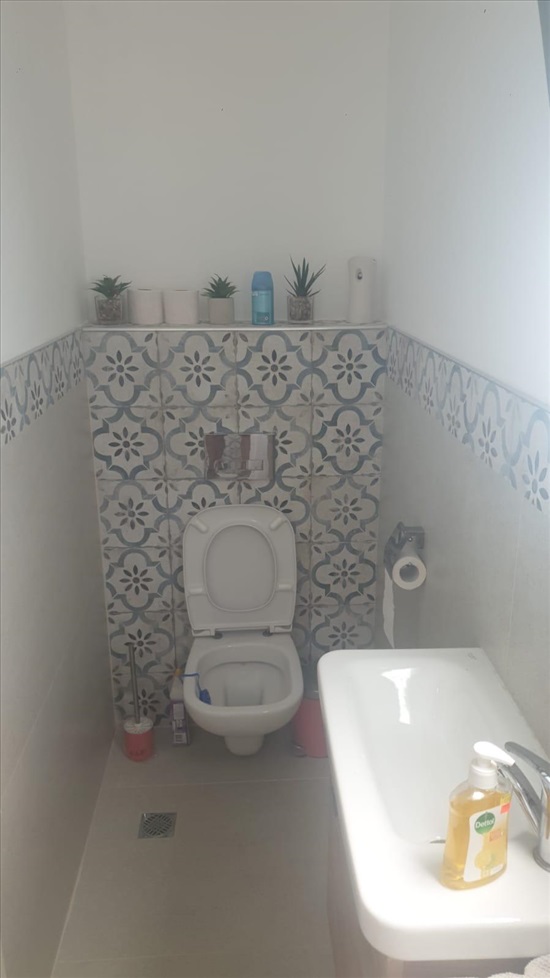 תמונה 5 ,דירה 2 חדרים להשכרה בחיפה, החשמונאים, 