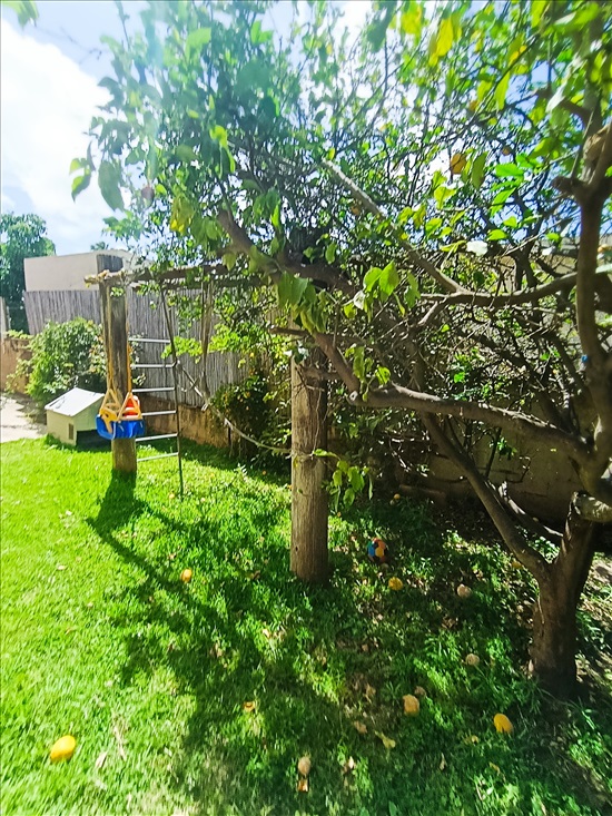 תמונה 6 ,בית פרטי 5.5 חדרים להשכרה בחדרה, הרמב''ן, נווה חיים