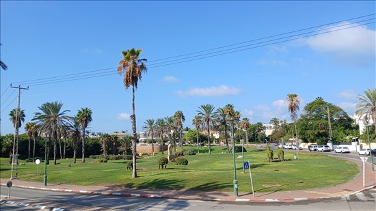 תמונה 7 ,יחידת דיור 2 חדרים להשכרה בהרצליה, אליעזר קפלן, הרצליה פיתוח