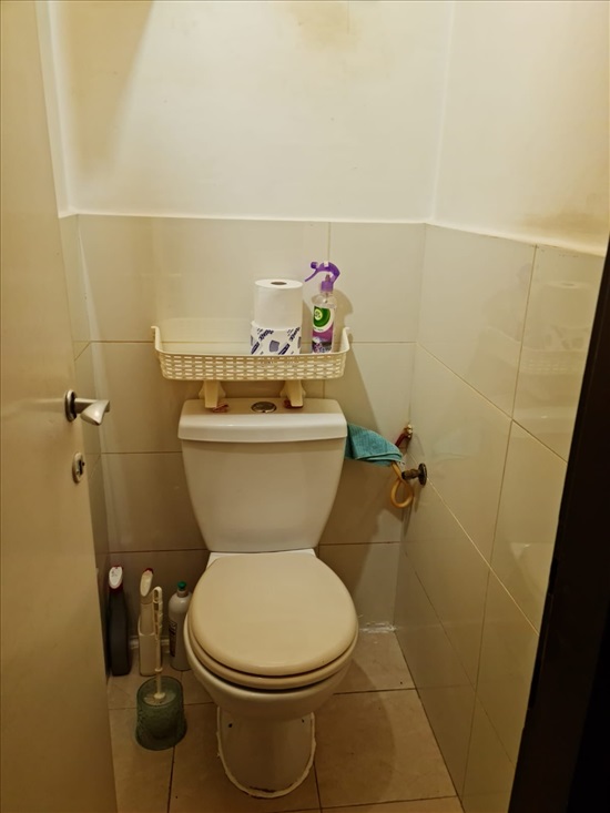 תמונה 8 ,דירה 3 חדרים להשכרה בנתניה, טרומפלדור, 