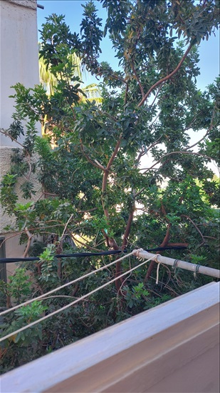 תמונה 8 ,דירה 1 חדרים להשכרה בחיפה, הס, הדר עליון