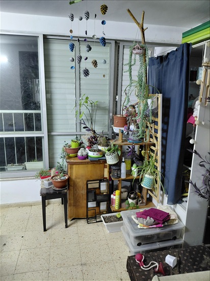תמונה 5 ,דירה 4 חדרים להשכרה בחיפה, יוכבד, מרכז הכרמל