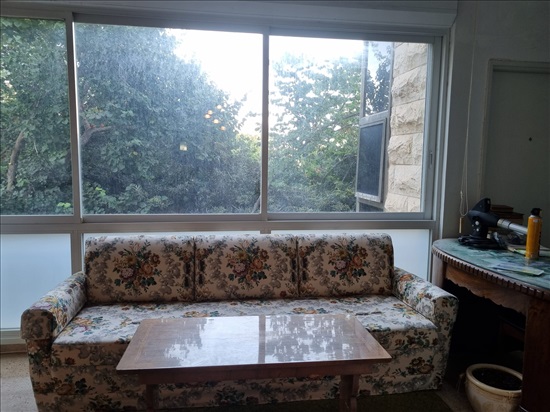 תמונה 2 ,דירה 5 חדרים להשכרה בחיפה, שדרות הברושים, מרכז הכרמל