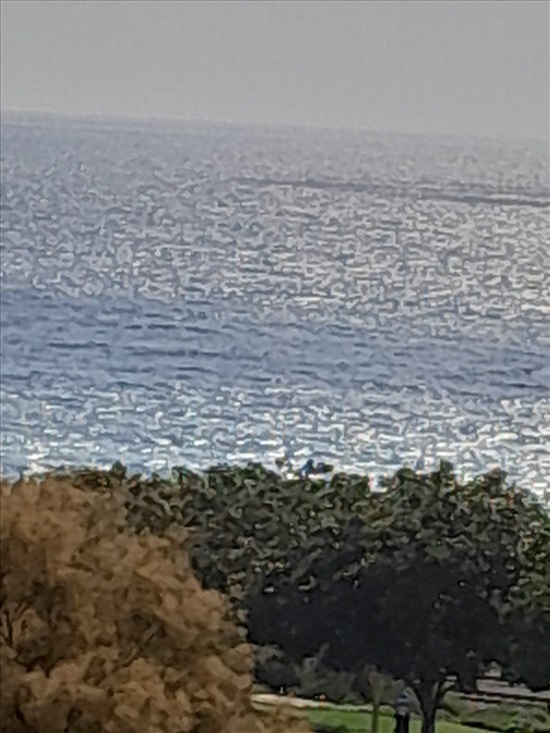 תמונה 6 ,דירה 3 חדרים להשכרה בחיפה, הבסטיליה 7, שפרינצק