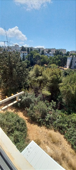 תמונה 10 ,דירה 2.5 חדרים להשכרה בחיפה, דרך צרפת 56, שפרינצק