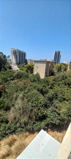 תמונה 11 ,דירה 2.5 חדרים להשכרה בחיפה, דרך צרפת 56, שפרינצק