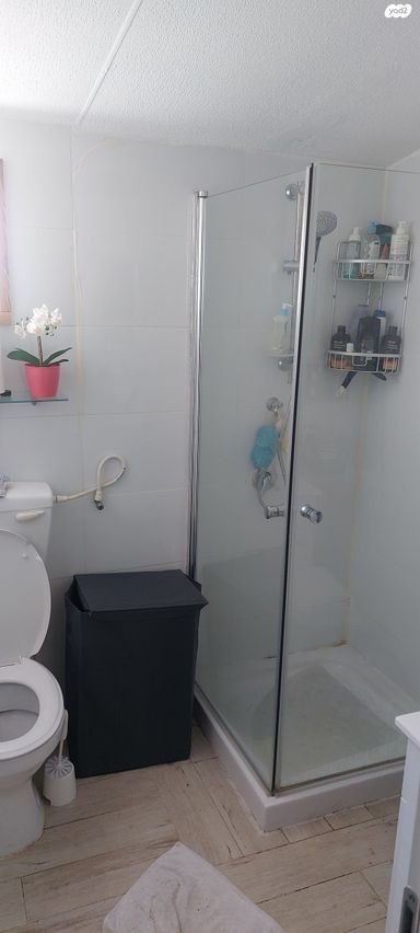 תמונה 4 ,יחידת דיור 3 חדרים להשכרה ב0549311252, הזית , 