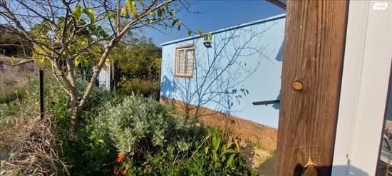 תמונה 5 ,יחידת דיור 3 חדרים להשכרה ב0549311252, הזית , 