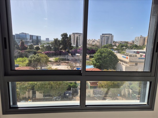 תמונה 5 ,דירה 3 חדרים להשכרה בנס ציונה, האימהות, 