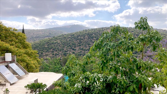 תמונה 5 ,דירה 3 חדרים להשכרה בכרמיאל, פרחים, דרומית