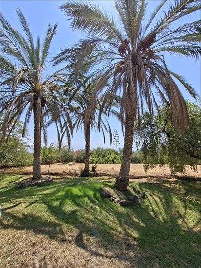 תמונה 1 ,בית פרטי 5 חדרים להשכרה באלמגור, נחל אור, 