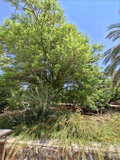 תמונה 2 ,בית פרטי 5 חדרים להשכרה באלמגור, נחל אור, 