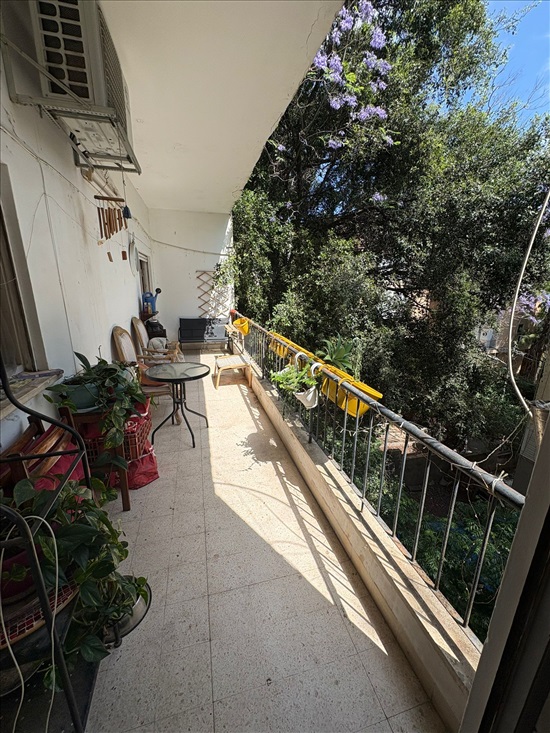 תמונה 4 ,דירה 3.5 חדרים להשכרה בחיפה, מסדה, הדר
