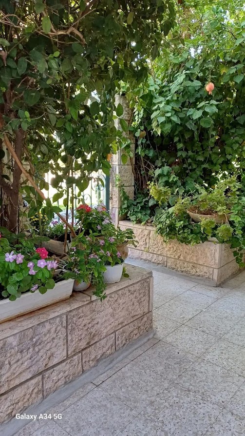 תמונה 2 ,דירת גן 6 חדרים להשכרה בירושלים, רשב"ג, קטמון