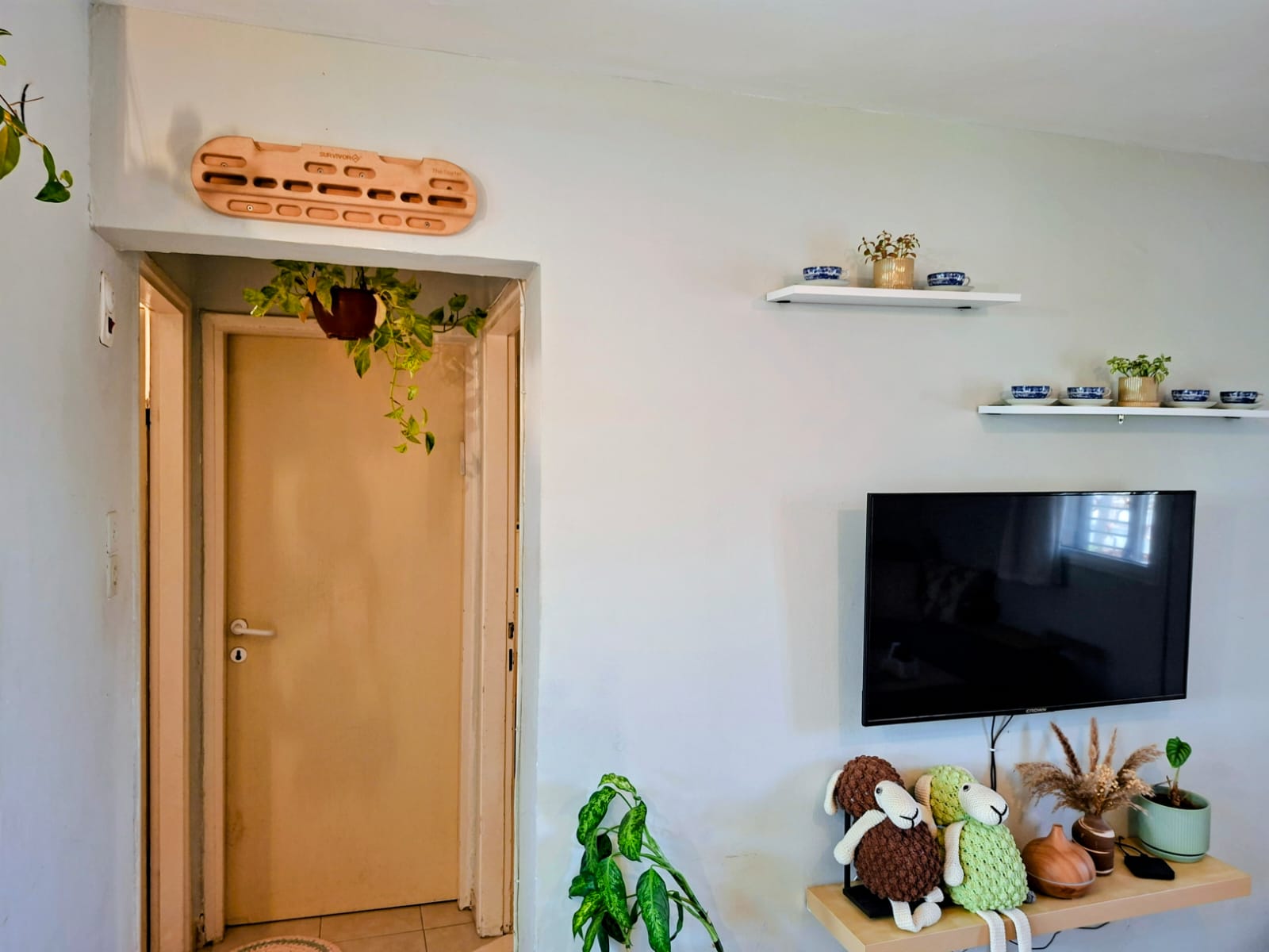 תמונה 4, דירה 3 חדרים להשכרה בבאר שבע, אלכסנדר ינאי, ד