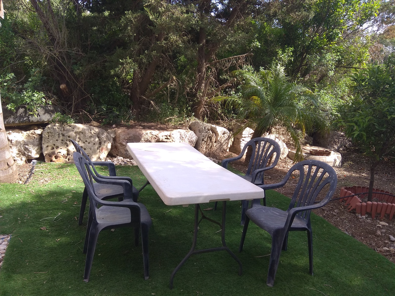 תמונה 2, יחידת דיור 3 חדרים להשכרה במצפה נטופה, תאנה