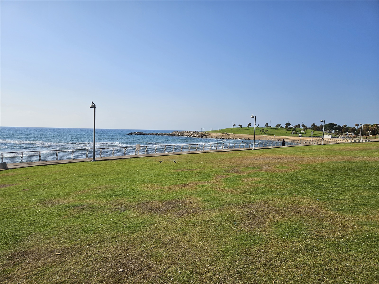 תמונה 2, דירה 2 חדרים להשכרה בתל אביב יפו, מענית, עגמי