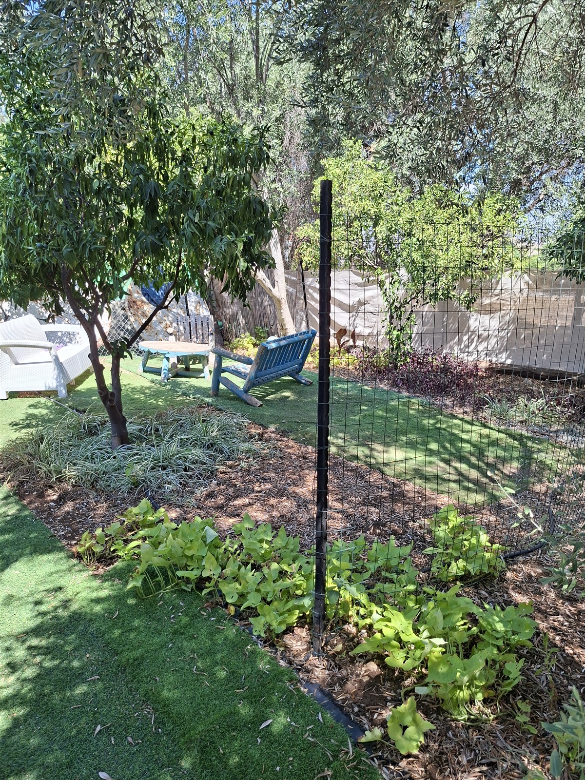 תמונה 4, יחידת דיור 2.5 חדרים להשכרה במשמר הירדן, בני צפת, בני צפת