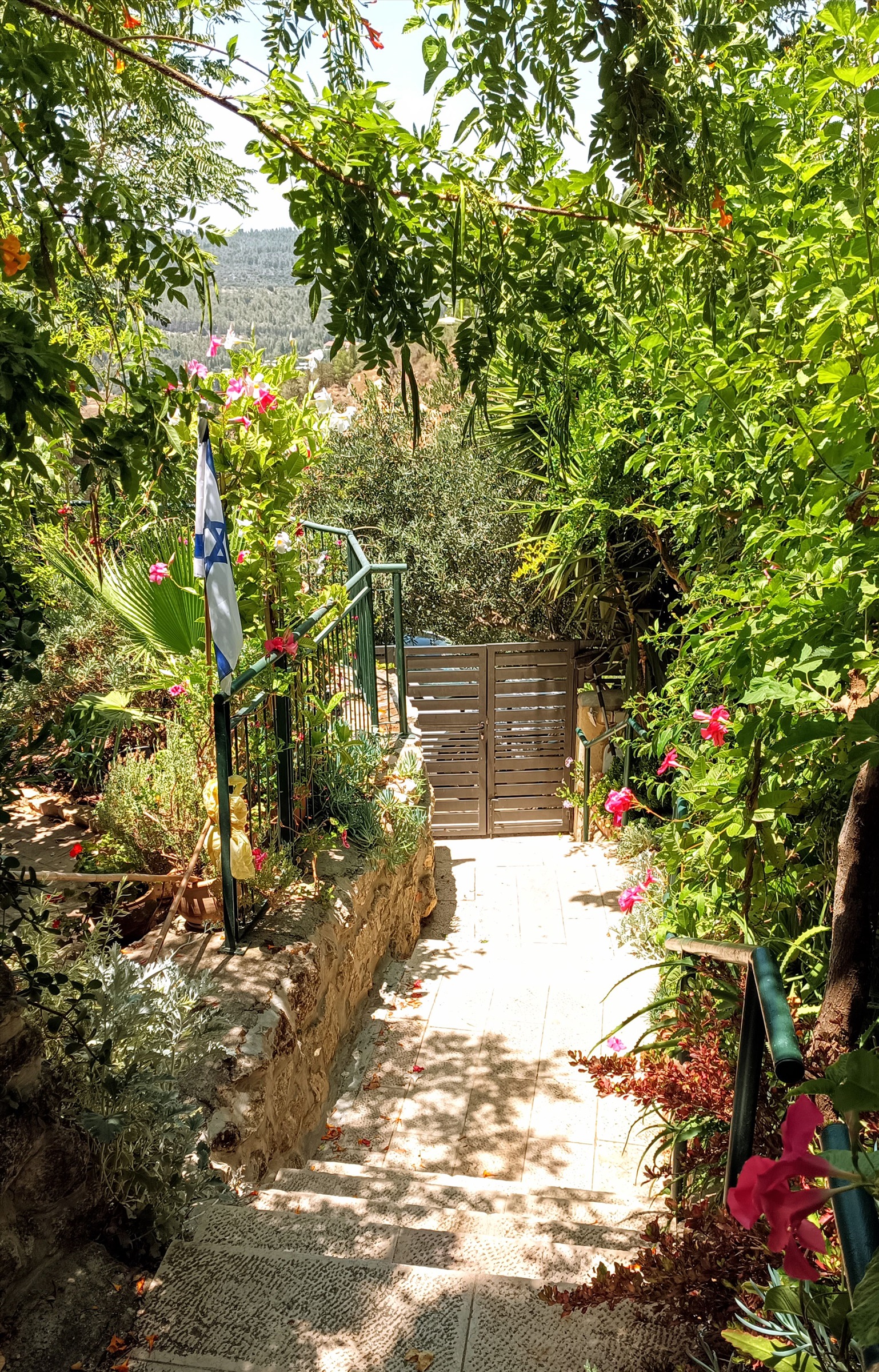 תמונה 2, דירת גן 2.5 חדרים להשכרה בירושלים, דרך הסלע, עין כרם 