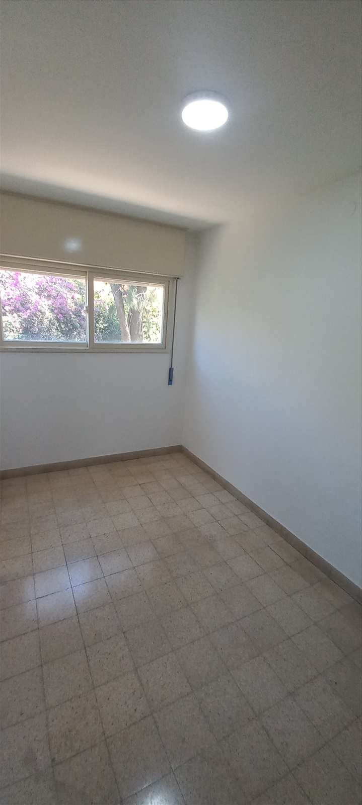 תמונה 4, דירה 2.5 חדרים להשכרה בחיפה, דרך צרפת 56, שפרינצק