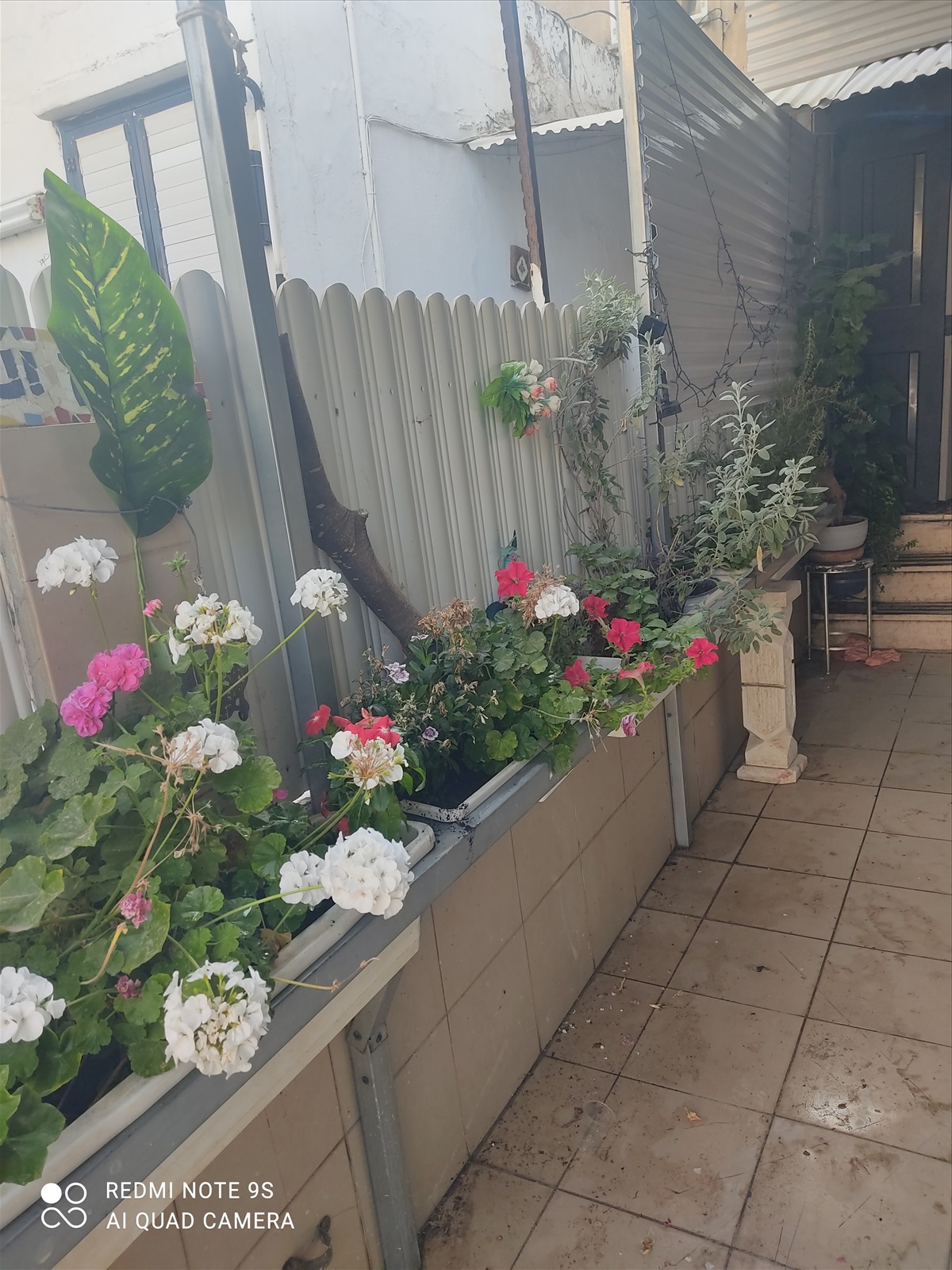 תמונה 3, יחידת דיור 2 חדרים להשכרה באור יהודה , העצמאות 57, העצמאות 