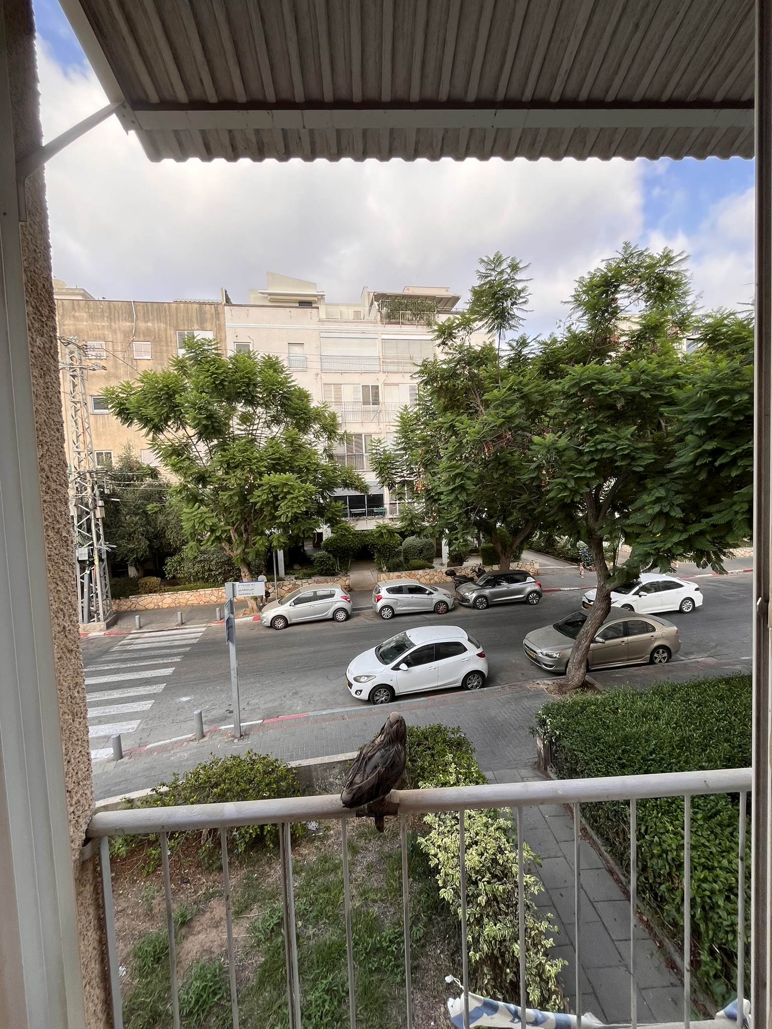 תמונה 2, דירה 3.5 חדרים להשכרה בתל אביב יפו, סנהדרין, בבלי