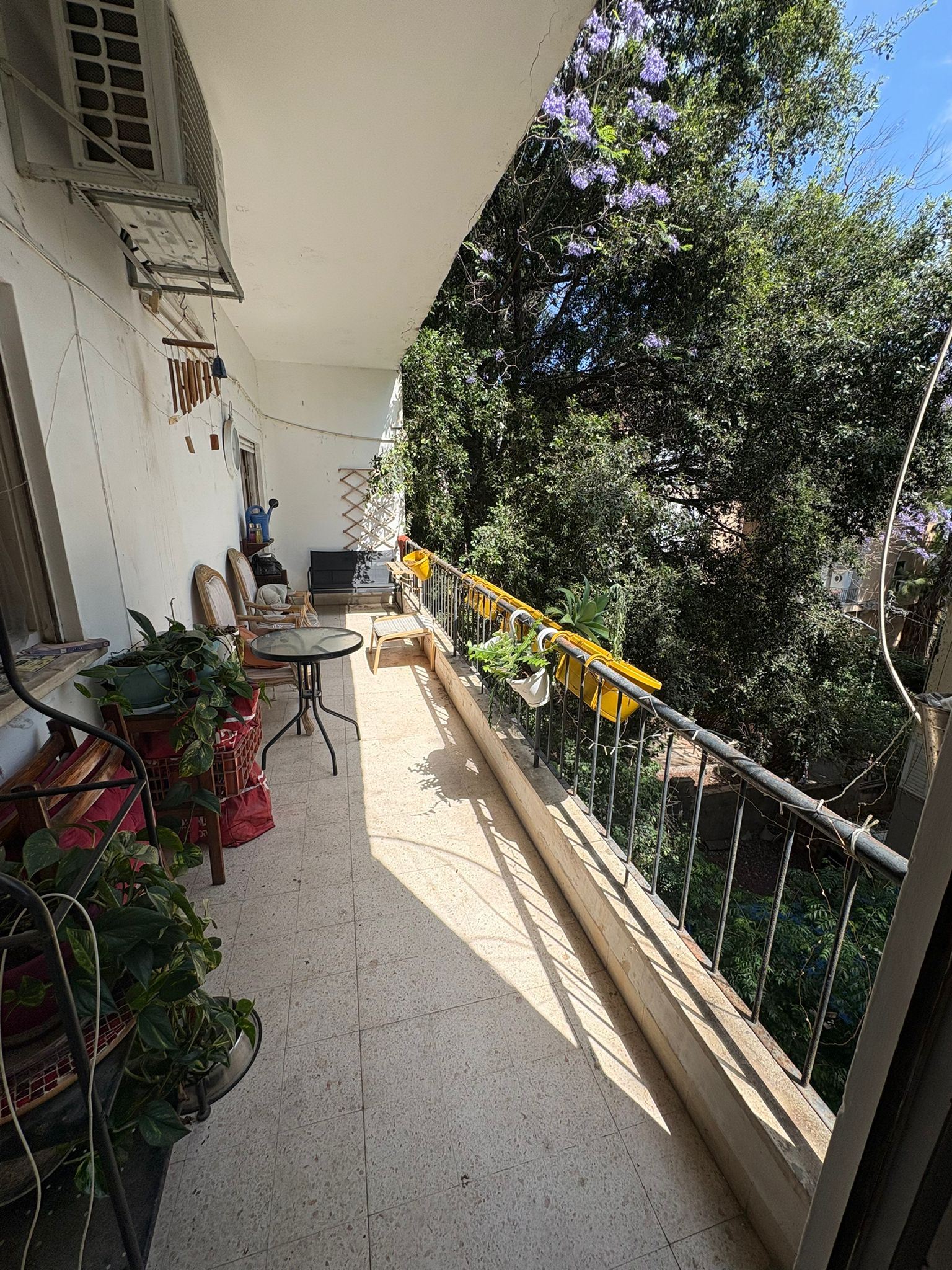 תמונה 4, דירה 3.5 חדרים להשכרה בחיפה, מסדה, הדר