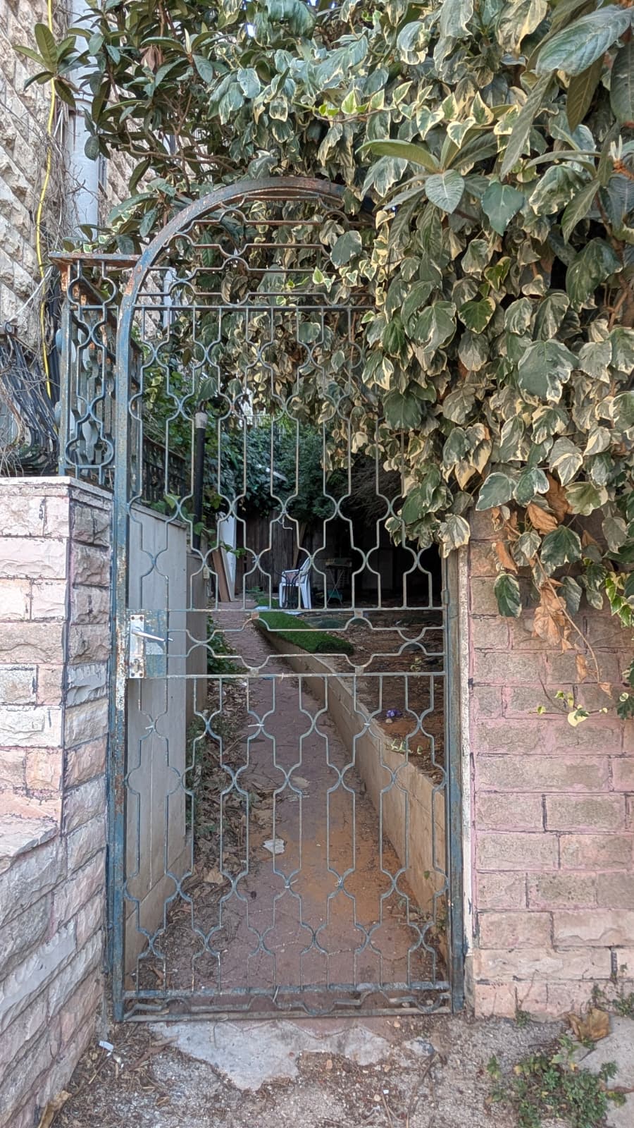 תמונה 1, דירת גן 1 חדרים להשכרה בירושלים, דגניה, בית הכרם