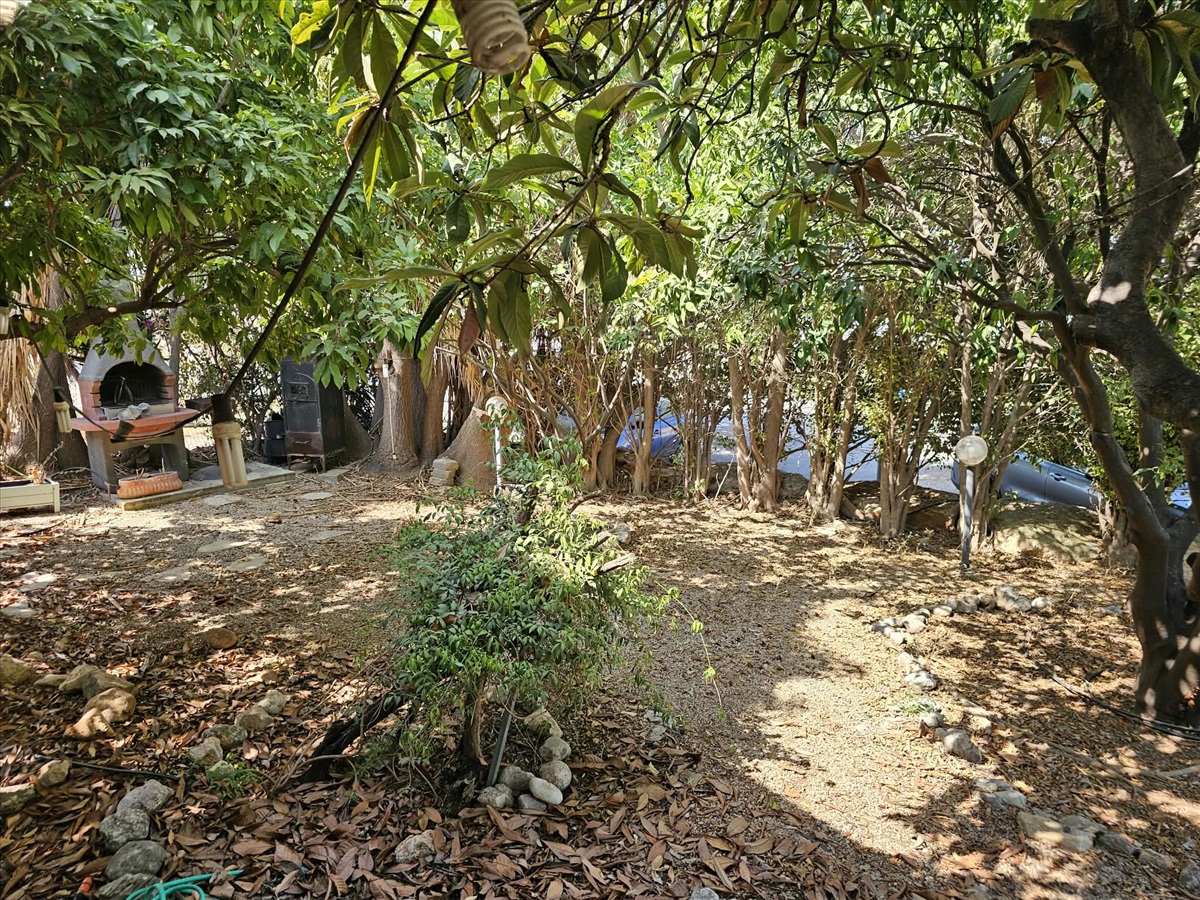 תמונה 1, בית פרטי 3 חדרים להשכרה בקיבוץ מצובה, אביב, 40