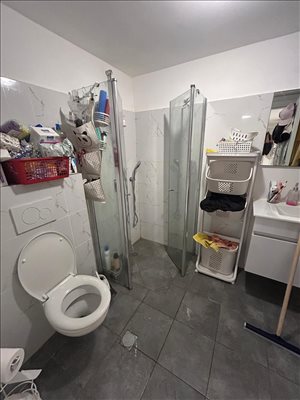 יחידת דיור להשכרה 2 חדרים בגדרה ארבע האימהות גולדה 